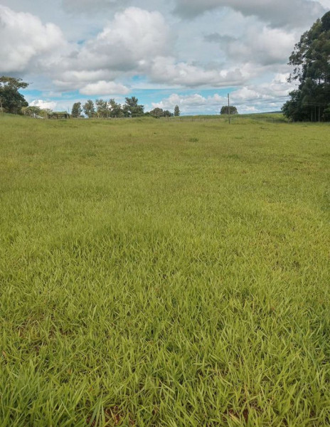 Sítio à venda Nova Cerqueira com 48000m² e 1 quarto por R$ 200.000 - 665620586-screenshot-20240203-142238.jpg
