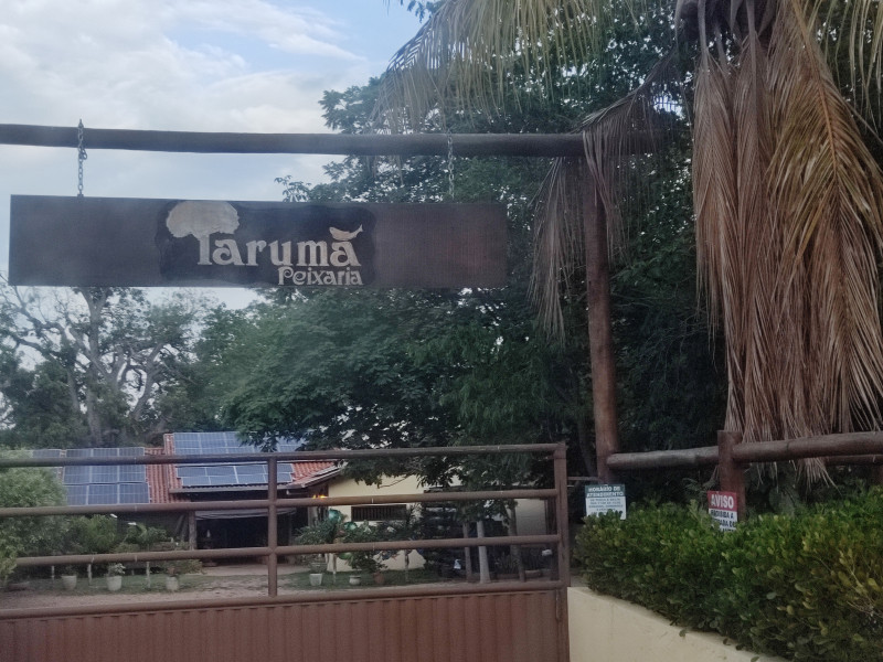 Chácara à venda Centro-Sul com 3000m² e 3 quartos por R$ 800.000 - 594253855-img-20231122-165553.jpg