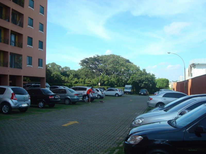 Apartamento à venda Cidade Ademar com 55m² e 3 quartos por R$ 360.000 - 1915200728-whatsapp-image-2024-02-04-at-21.jpeg