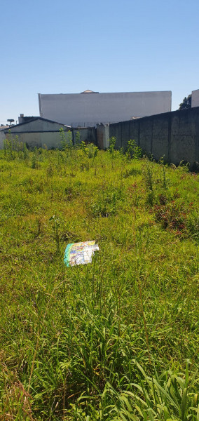 Terreno à venda Hauer com 504m² e 1 quarto por R$ 950.000 - 1397646621-whatsapp-image-2024-02-05-at-13.jpeg