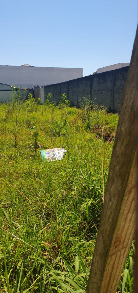 Terreno à venda Hauer com 504m² e 1 quarto por R$ 950.000 - 1436919588-whatsapp-image-2024-02-05-at-13.jpeg