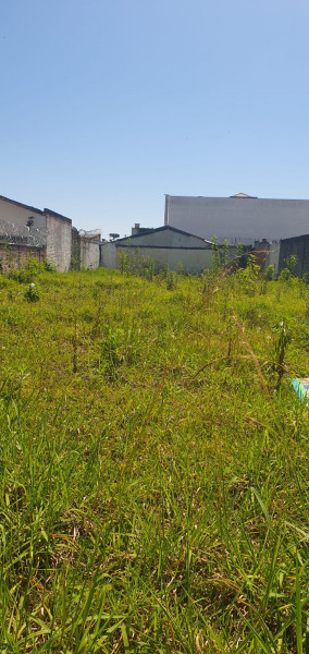 Terreno à venda Hauer com 504m² e 1 quarto por R$ 950.000 - 1529173100-whatsapp-image-2024-02-05-at-13.jpeg