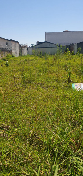 Terreno à venda Hauer com 504m² e 1 quarto por R$ 950.000 - 1601442798-whatsapp-image-2024-02-05-at-13.jpeg