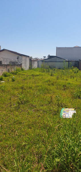 Terreno à venda Hauer com 504m² e 1 quarto por R$ 950.000 - 241911543-whatsapp-image-2024-02-05-at-13.jpeg