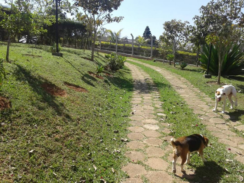 Chácara à venda Jundiaquara com 1000m² e 3 quartos por R$ 480.000 - 628023371-inbound3232729636855576370.jpg