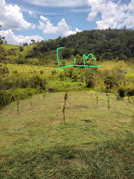 Chácara à venda Luiz Carlos com 1920m² e 2 quartos por R$ 298.000 - 64443343-img-20240131-wa0018.jpg