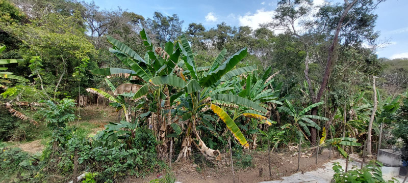 Sítio à venda Pimentas com 5600m² e 5 quartos por R$ 850.000 - 1307426282-img-20231109-wa0005.jpg