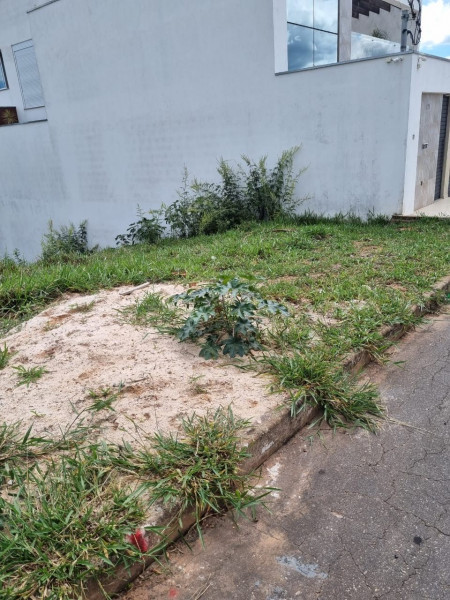 Terreno à venda Juca Rosa 2ª Etapa com 250m² e 1 quarto por R$ 100.000.000 - 1086667275-foto-lote-3.jpg