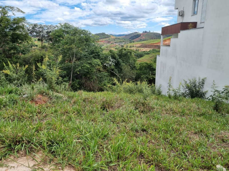 Terreno à venda Juca Rosa 2ª Etapa com 250m² e 1 quarto por R$ 100.000.000 - 1562245007-foto-lote-2.jpg