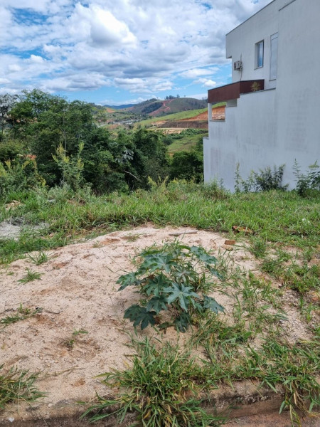 Terreno à venda Juca Rosa 2ª Etapa com 250m² e 1 quarto por R$ 100.000.000 - 630711197-foto-lote-1.jpg