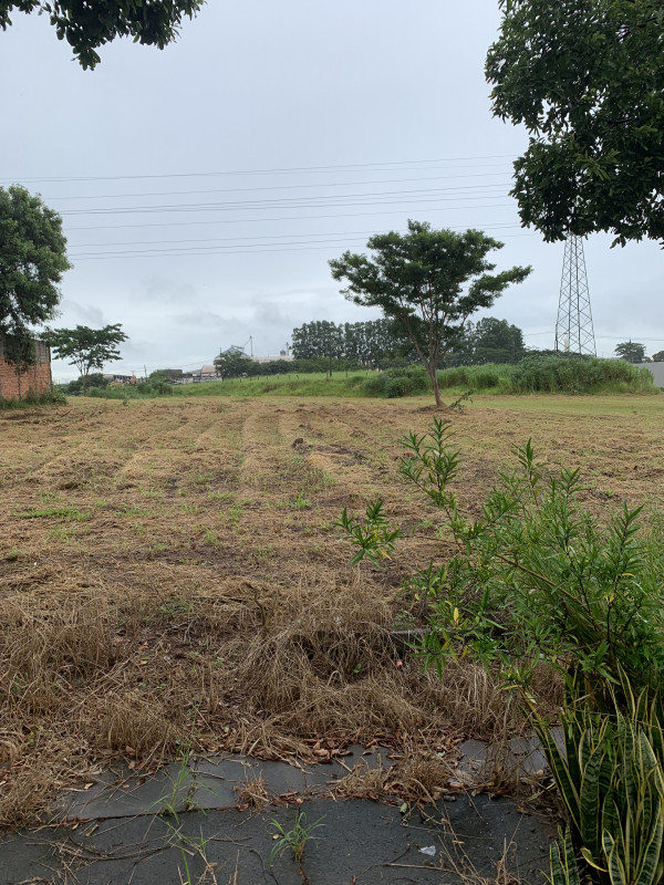Terreno à venda Jardim Arapuã com 1500m² e 1 quarto por R$ 2.966.000 - 115605136-img-6657.jpeg