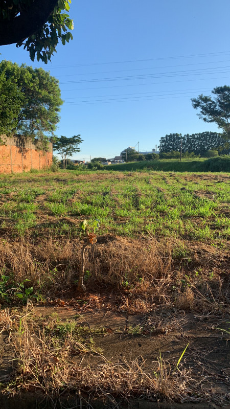 Terreno à venda Jardim Arapuã com 1500m² e 1 quarto por R$ 2.966.000 - 132018886-d42c5030-b549-433c-8981-9304d7dbec60.jpeg