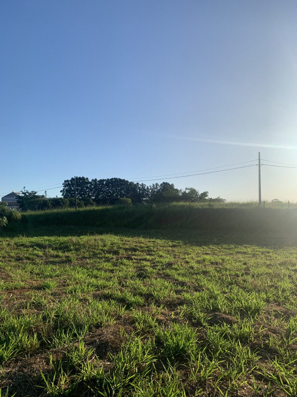 Terreno à venda Jardim Arapuã com 1500m² e 1 quarto por R$ 2.966.000 - 1949334848-img-6990.jpeg