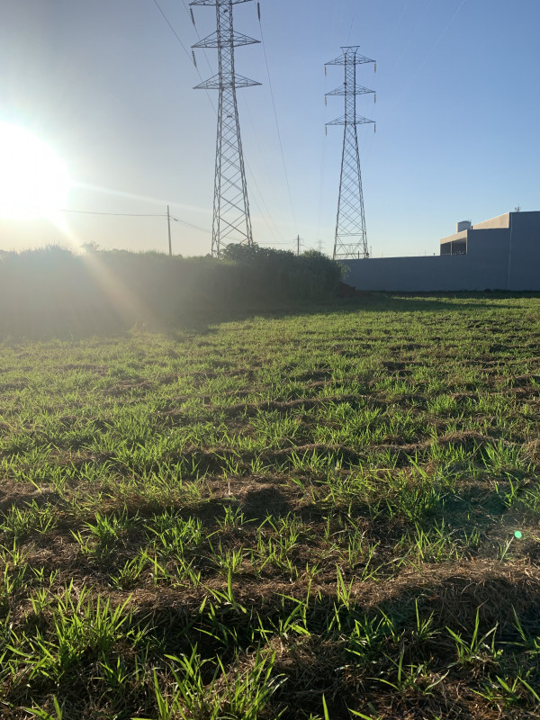 Terreno à venda Jardim Arapuã com 1500m² e 1 quarto por R$ 2.966.000 - 256983519-img-6984.jpeg