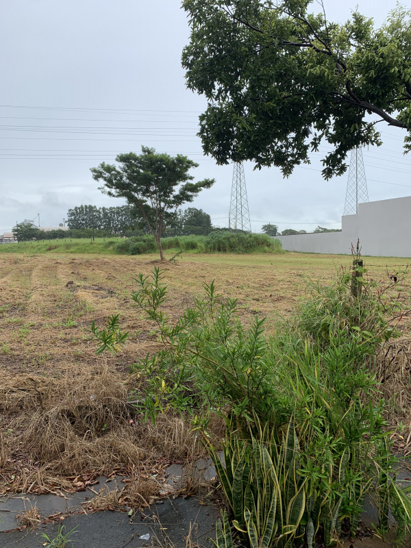 Terreno à venda Jardim Arapuã com 1500m² e 1 quarto por R$ 2.966.000 - 507191720-img-6658.jpeg