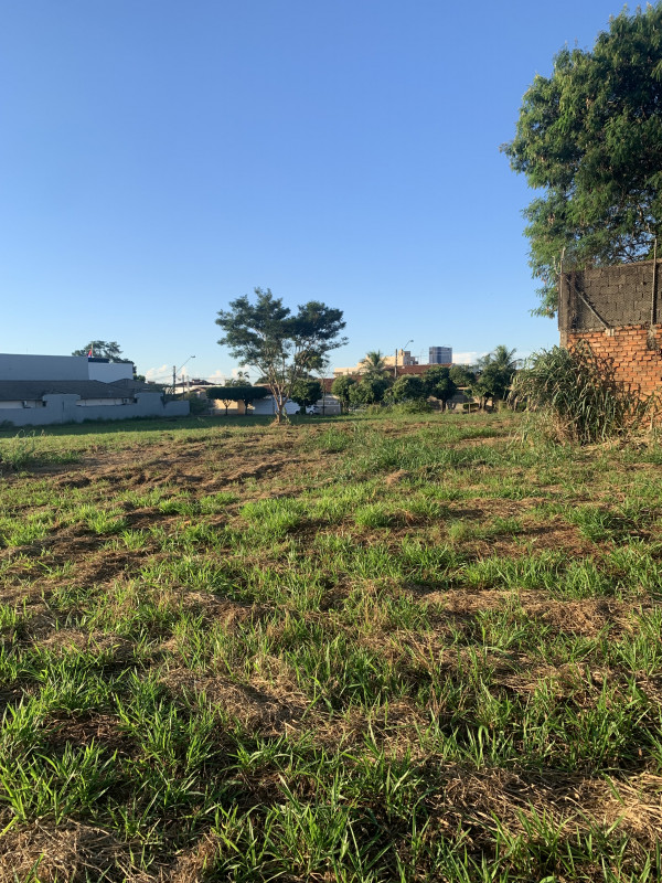 Terreno à venda Jardim Arapuã com 1500m² e 1 quarto por R$ 2.966.000 - 764104189-img-6991.jpeg