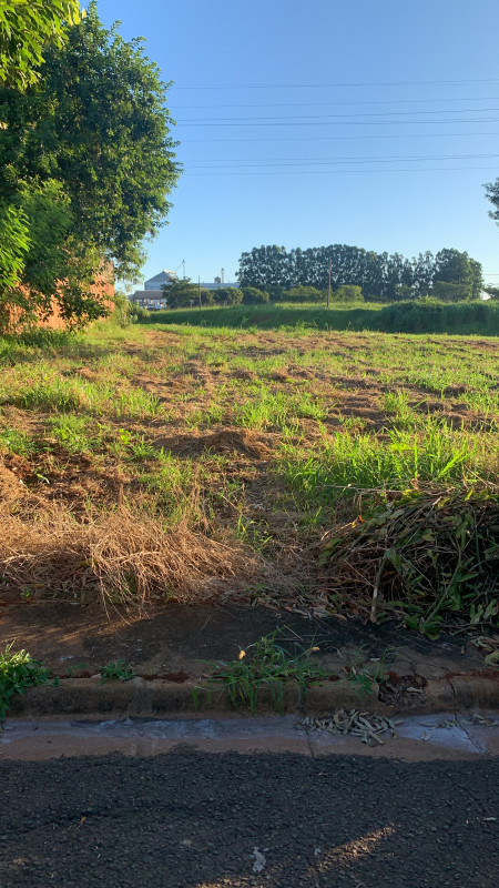 Terreno à venda Jardim Arapuã com 1500m² e 1 quarto por R$ 2.966.000 - 764650756-711775ce-c760-4825-8a6f-25951deebbc9.jpeg