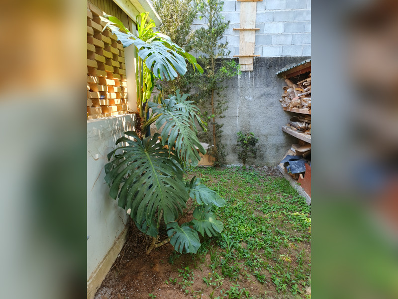 Chácara à venda Centro com 1300m² e 4 quartos por R$ 1.600.000 - 20230922-113736.jpg