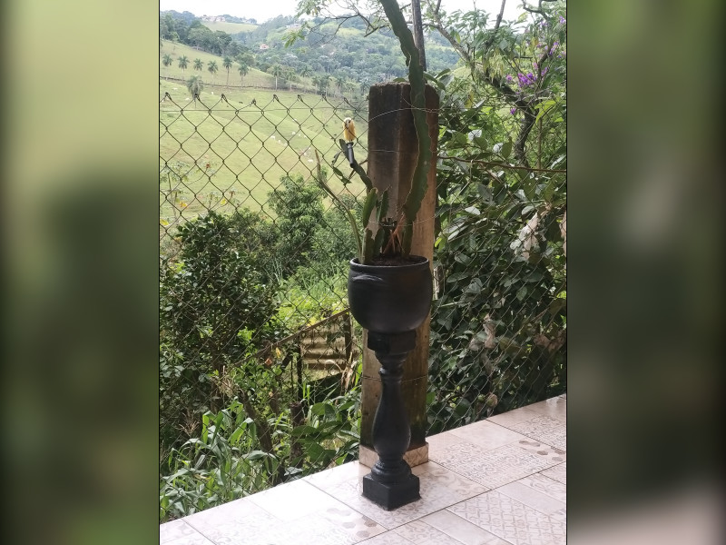 Chácara à venda Recento No Céu com 850m² e 4 quartos por R$ 350.000 - 20230224-151444.jpg