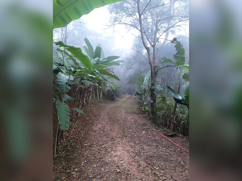 Chácara à venda Recento No Céu com 850m² e 4 quartos por R$ 350.000 - 20230831-062157.jpg