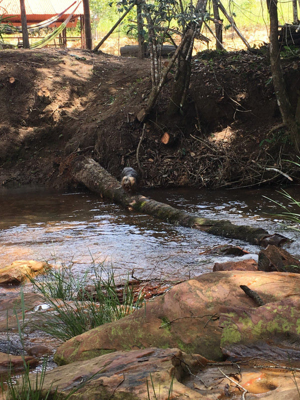 Sítio à venda Centro com 90000m² e 3 quartos por R$ 650.000 - 2097561723-2017-04-15-11.jpeg