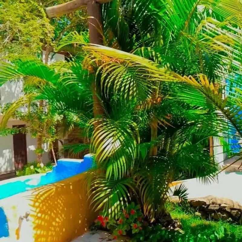 Comercial à venda Centro com 450m² e 0 quartos por R$ 960.000 - 270077194-img-20230411-wa0003.jpg