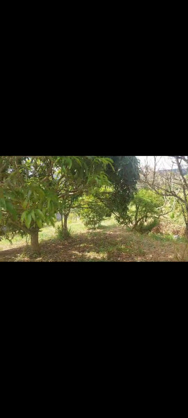 Terreno à venda Curral com 801m² e 0 quartos por R$ 120.000 - 1045205144-screenshot-20240210-132220-whatsapp.jpg