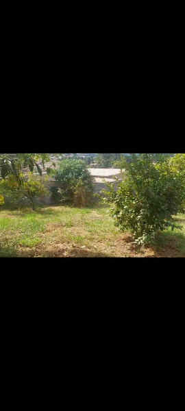 Terreno à venda Curral com 801m² e 0 quartos por R$ 120.000 - 1330846344-screenshot-20240210-132240-whatsapp.jpg