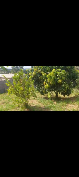 Terreno à venda Curral com 801m² e 0 quartos por R$ 120.000 - 1485836850-screenshot-20240210-132250-whatsapp.jpg