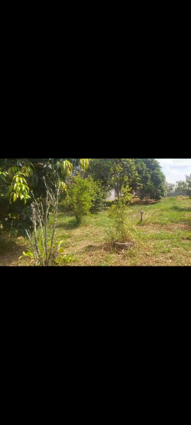 Terreno à venda Curral com 801m² e 0 quartos por R$ 120.000 - 1690958030-screenshot-20240210-132408-whatsapp.jpg