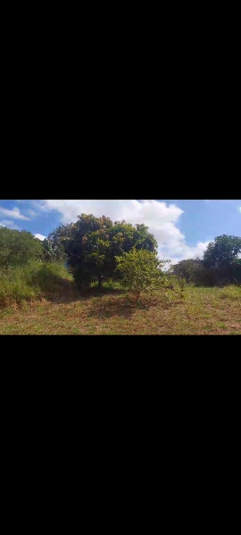 Terreno à venda Curral com 801m² e 0 quartos por R$ 120.000 - 783333255-screenshot-20240210-132353-whatsapp.jpg