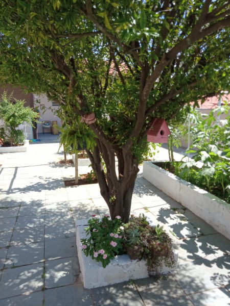 Casa à venda Jardim Bandeiras com 168m² e 3 quartos por R$ 780.000 - 1304095833-43.jpeg