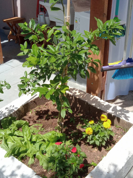 Casa à venda Jardim Bandeiras com 168m² e 3 quartos por R$ 780.000 - 1369672098-44.jpeg