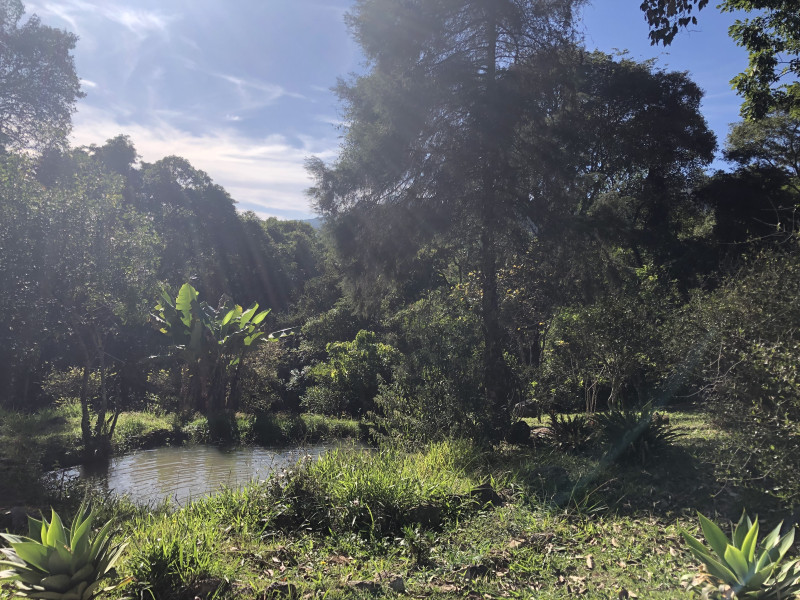 Chácara à venda Centro com 171m² e 3 quartos por R$ 600.000 - 2006578617-img-5977.jpeg