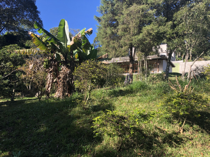 Chácara à venda Centro com 171m² e 3 quartos por R$ 600.000 - 2066554732-img-5974.jpeg