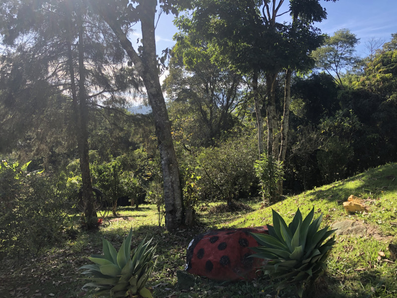 Chácara à venda Centro com 171m² e 3 quartos por R$ 600.000 - 255261049-img-5978.jpeg