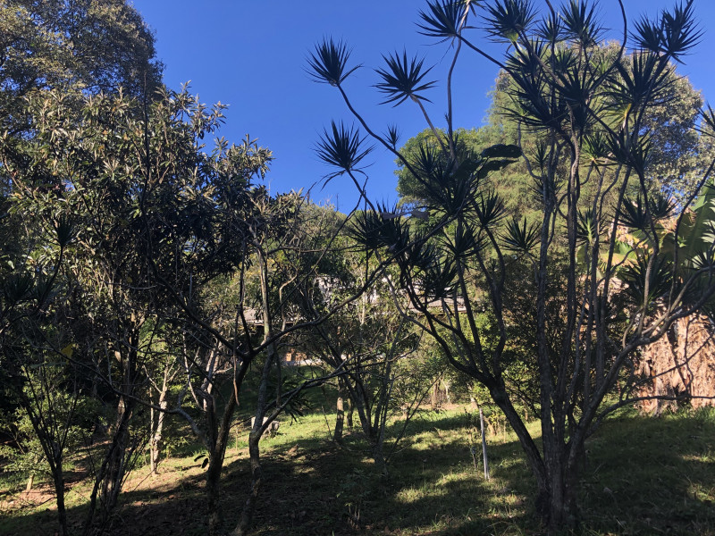 Chácara à venda Centro com 171m² e 3 quartos por R$ 600.000 - 828127040-img-5975.jpeg