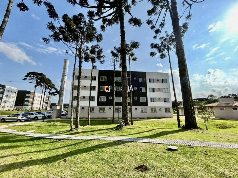 Apartamento à venda Jardim Itaqui com 40m² e 2 quartos por R$ 150.000 - 1779549894-img-1925.jpeg