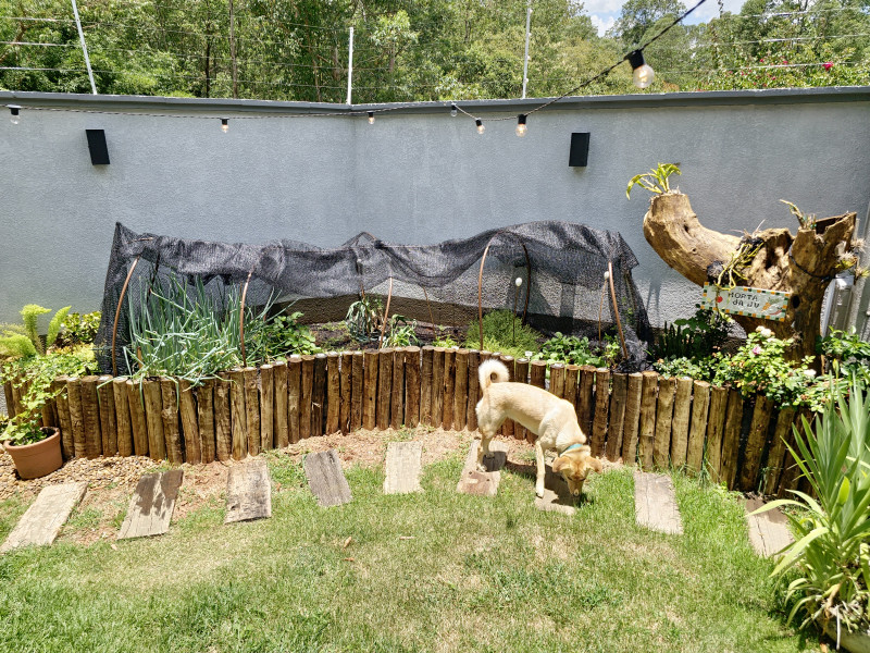 Casa à venda Centro com 140m² e 3 quartos por R$ 1.100.000 - 365398488-03.jpg