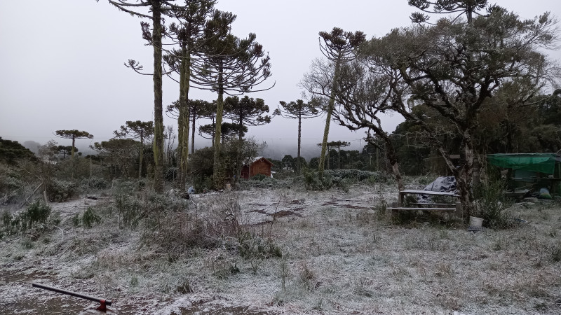 Sítio à venda Centro com 10000m² e 4 quartos por R$ 1.100.000 - 1223814672-neve.jpg