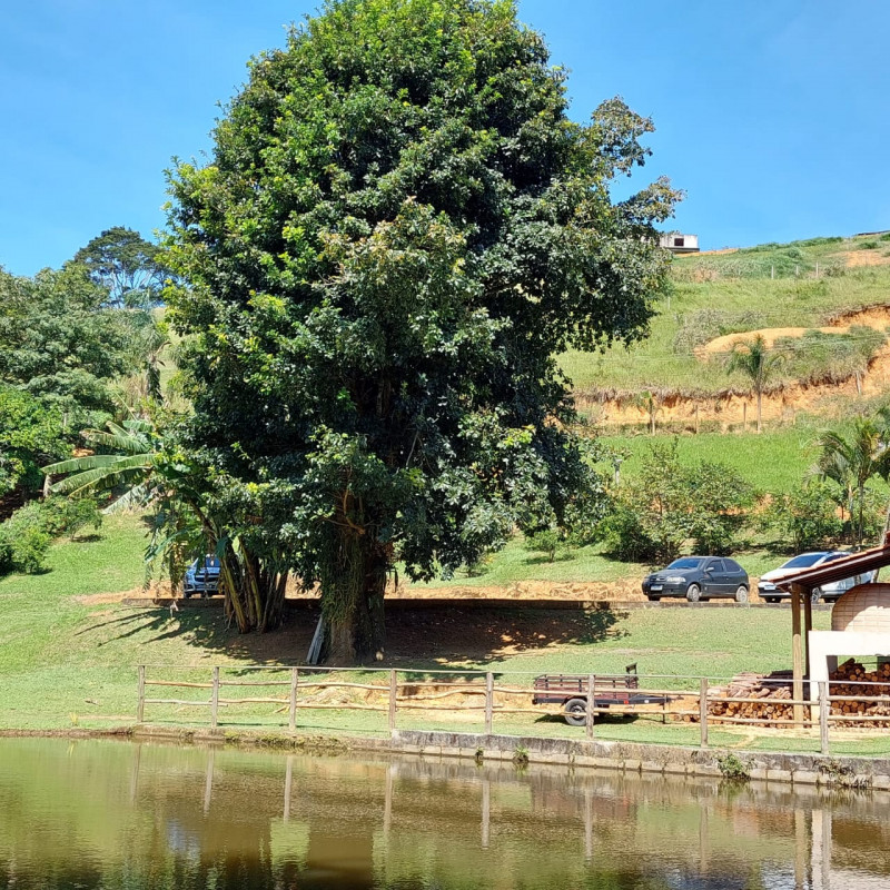 Chácara à venda Ipiabas com 18m² e 7 quartos por R$ 2.300.000 - 1353638223-img-20240111-wa0040.jpg