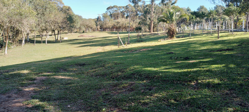 Chácara à venda Área Rural de São José dos Pinhais com 4319m² e 3 quartos por R$ 385.009 - 544068911-img-20240205-wa0058.jpg