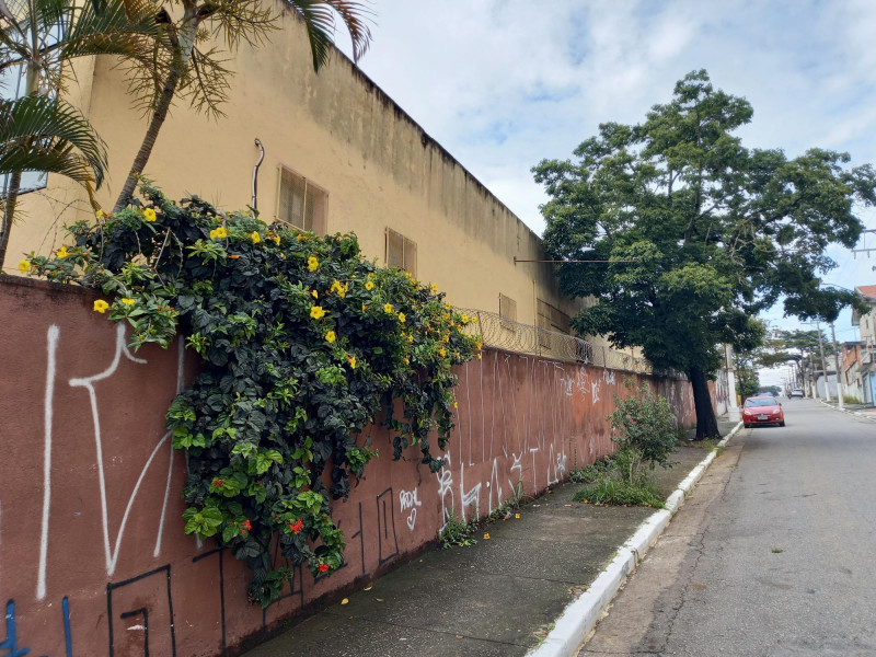 Comercial para alugar Vila Antonieta com 3150m² e 1 quarto por R$ 32.000 - 1637100251-20211214-092417.jpg
