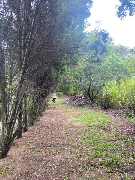 Sítio à venda Centro com 287m² e 4 quartos por R$ 1.500.000 - 1184494886-736d6a70-e7b1-477d-892b-d36851664669.jpeg