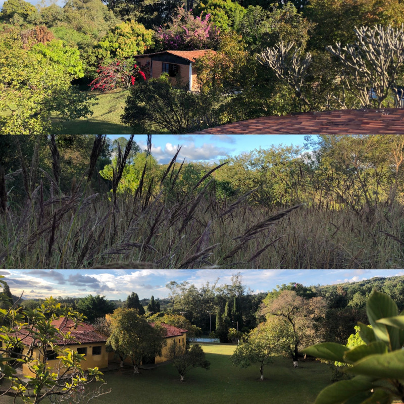 Sítio à venda Centro com 287m² e 4 quartos por R$ 1.500.000 - 929333708-7c2ede04-d077-486a-af36-410f3d71eab4.jpeg