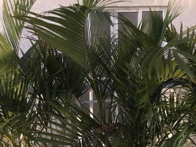 Apartamento à venda Vila Campanela com 24m² e 1 quarto por R$ 350.000 - 6311380-inbound8639053208626115101.jpg