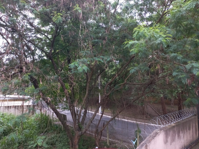 Casa de condomínio à venda Parque Ipê com 56m² e 2 quartos por R$ 350.000 - 1278145063-whatsapp-image-2023-10-23-at-11.jpeg