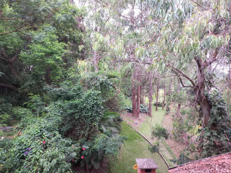 Casa de condomínio à venda Parque Ipê com 56m² e 2 quartos por R$ 350.000 - 1667850641-whatsapp-image-2023-10-23-at-11.jpeg