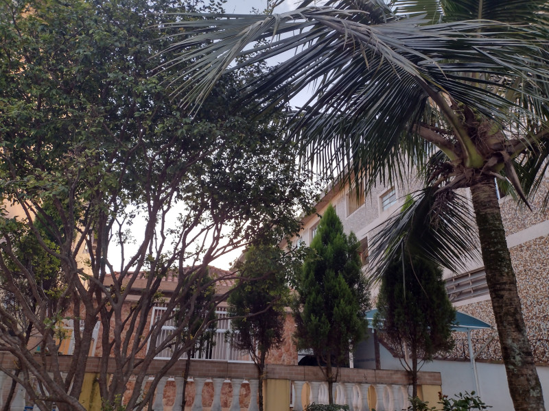 Casa à venda Vila Voturuá com 400m² e 4 quartos por R$ 909.000 - 1267423298-img-20230623-161519524-hdr.jpg