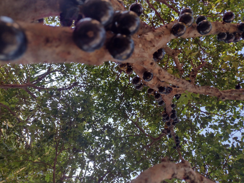 Casa à venda Vila Voturuá com 400m² e 4 quartos por R$ 909.000 - 932049048-img-20230712-103950978-hdr.jpg